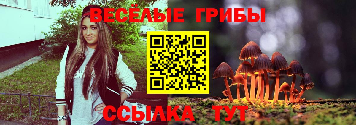 Галлюциногенные грибы MAGIC MUSHROOMS  Вход с VPN  Сокол  где найти   Галлюциногенные грибы Psilocybine cubensis 